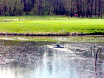 Bild 15: schw. Wälzbelüfter im Golfteich