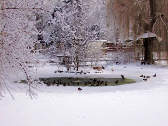 Bild 8: Winterbetrieb, „freie Wasserfläche“